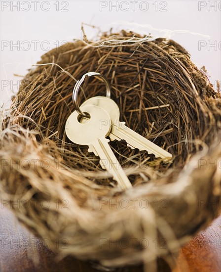 Keys in a bird nest. Photo : Jamie Grill
