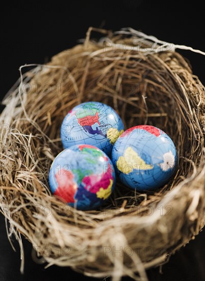 Small globes in a bird nest. Photo : Jamie Grill