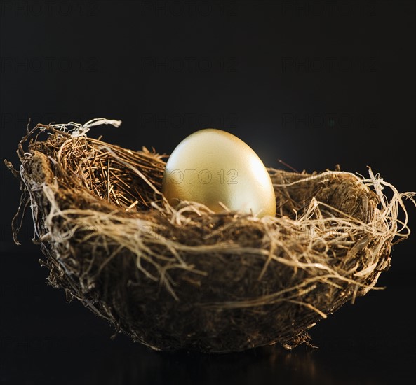Golden egg in a bird nest. Photo : Jamie Grill