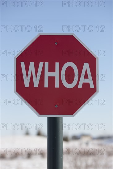 Stop sign with the word WHOA on it. Photo : Dan Bannister