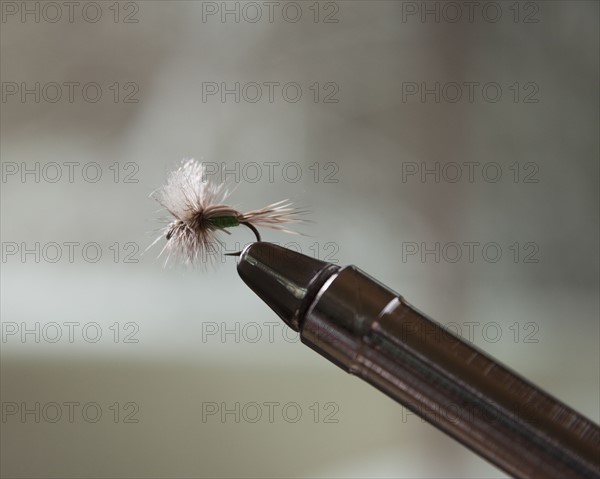 Fly fishing hook. Photo : Mike Kemp