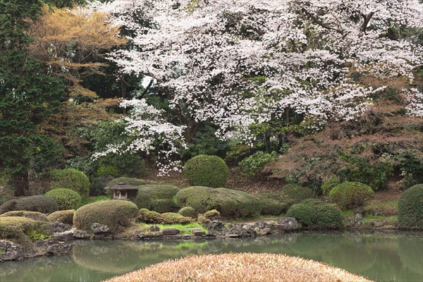 Japanese garden. Photo : Lucas Lenci Photo