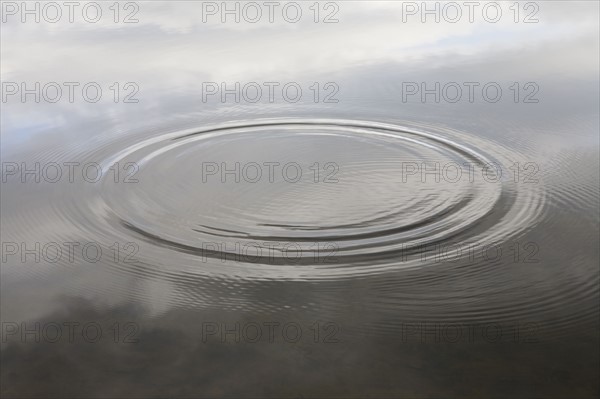 Ripples in water. Photo : Chris Hackett