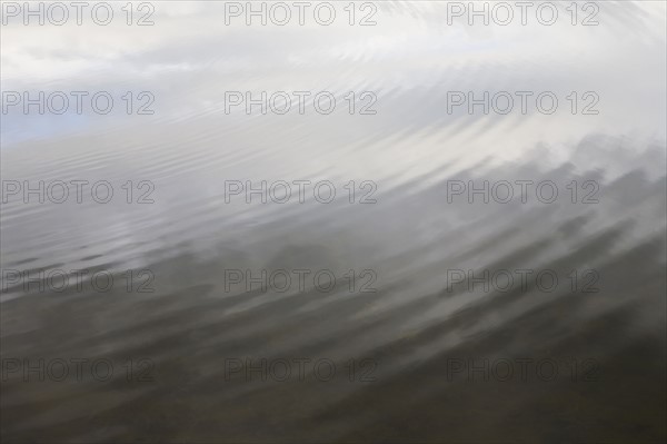 Ripples in water. Photo : Chris Hackett