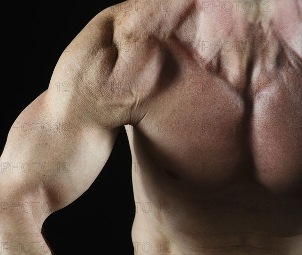 Muscular arm. Photo : Daniel Grill