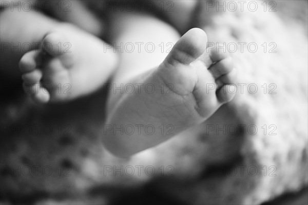 Baby's feet. Photo. Jamie Grill