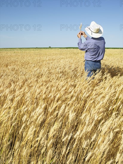 Farmer standing in wheat field. Photo : John Kelly