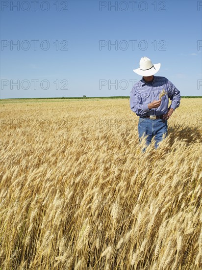 Farmer standing in wheat field. Photo. John Kelly