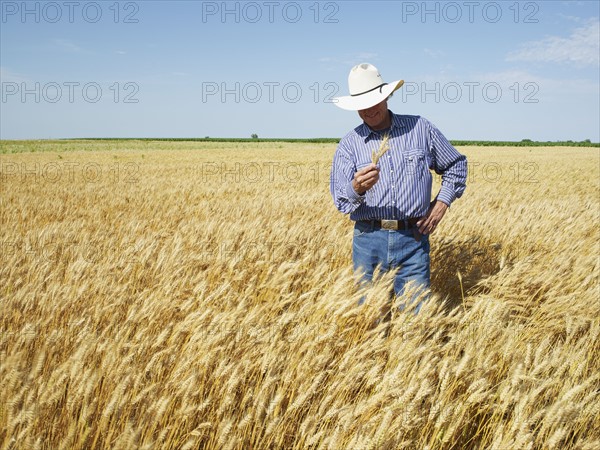 Farmer standing in wheat field. Photo : John Kelly