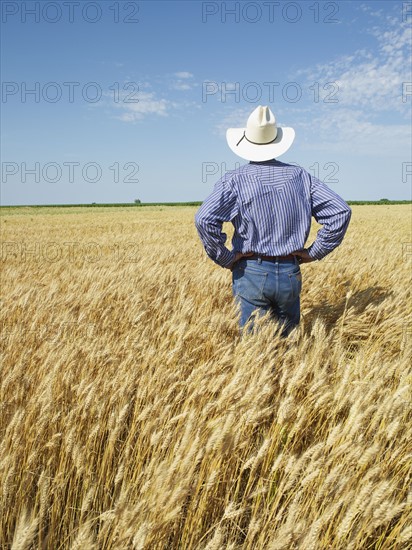 Farmer standing in wheat field. Photo : John Kelly