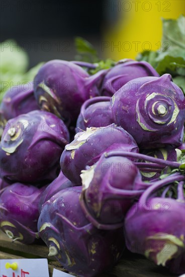 Kohlrabi display at farmer's market. Photo : Antonio M. Rosario