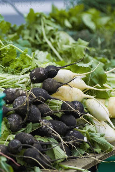 Radishes on display at farmer's market. Photo : Antonio M. Rosario