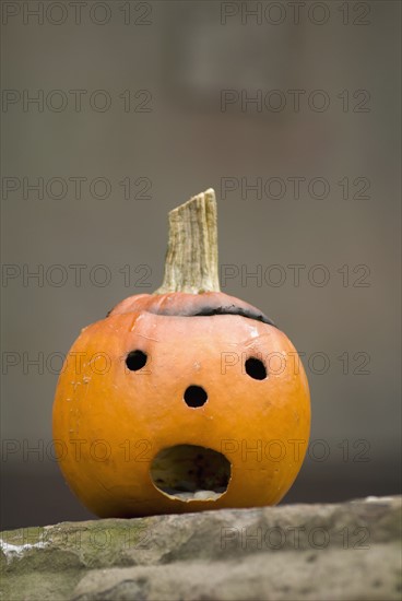 Small jack-o-lantern. Photo. Antonio M. Rosario