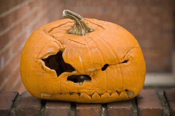 Squished jack-o-lantern. Photo. Antonio M. Rosario