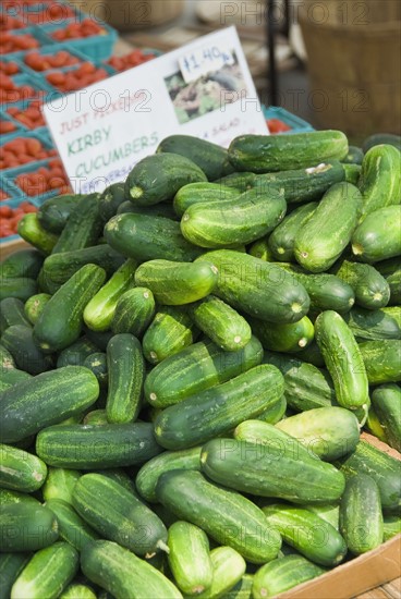 Cucumber display at farmer's market. Photo : Antonio M. Rosario