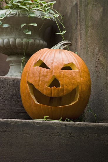 Jack-o-lantern on step. Photo. Antonio M. Rosario