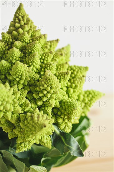 Romanesco broccoli. Photo : Antonio M. Rosario