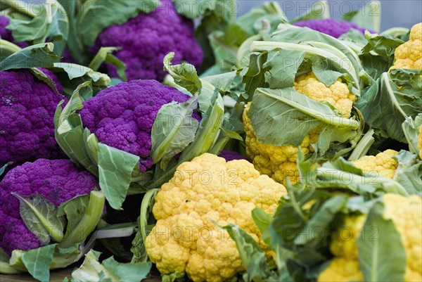 Cauliflower display at farmer's market. Photo : Antonio M. Rosario