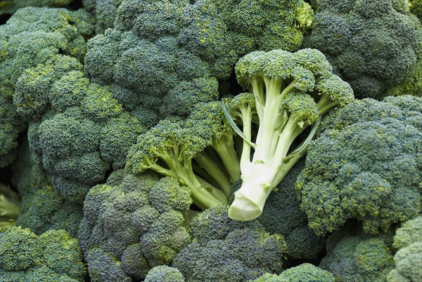 Pile of broccoli. Photo. Antonio M. Rosario