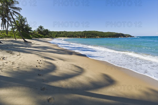 Beach in the Caribbean. Photo : Antonio M. Rosario