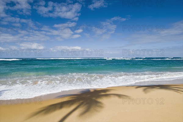 Caribbean beach. Photo : Antonio M. Rosario