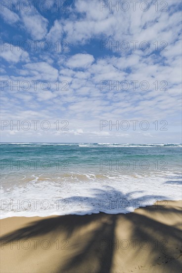 Caribbean beach. Photo : Antonio M. Rosario