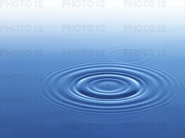 Ripples in water. Photo. David Arky