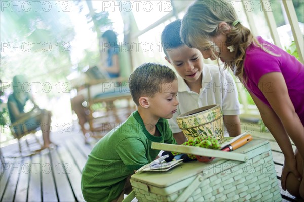 Young children looking at seeds in a planter pot. Photo. Tim Pannell