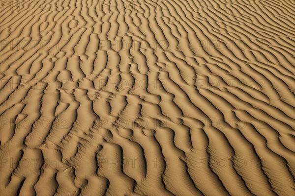 Sand dune. Photo. Mike Kemp