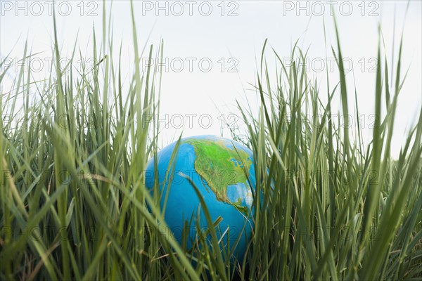 Globe in grass. Photo. Mike Kemp