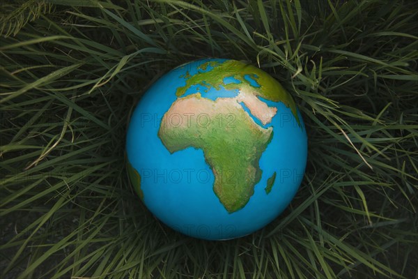 Globe in grass. Photo. Mike Kemp