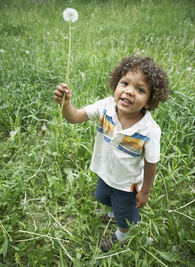 Cute young child holding dandelion. Photo : Shawn O'Connor