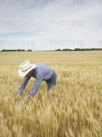 Farmer standing in wheat field. Photo : John Kelly