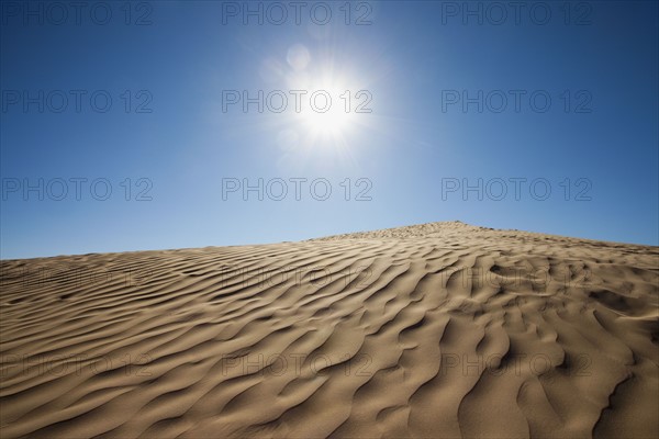 Sunny desert. Photo. Mike Kemp