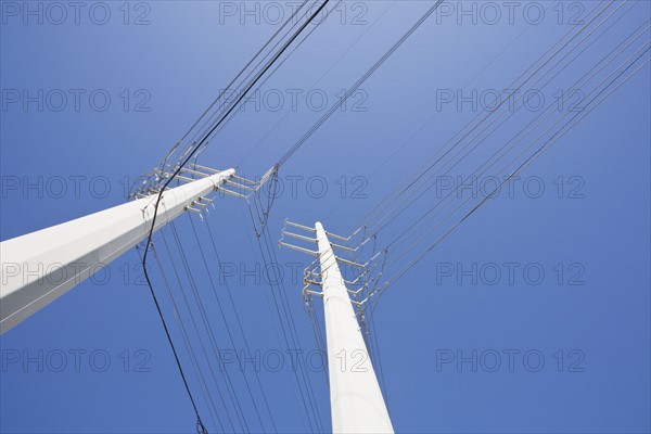 Power lines. Photo. Chris Hackett