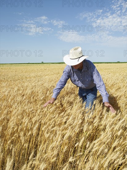 Farmer standing in wheat field. Photo : John Kelly