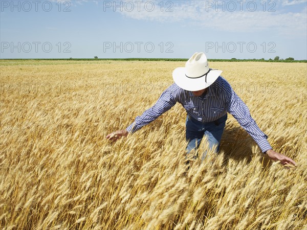 Farmer standing in wheat field. Photo : John Kelly