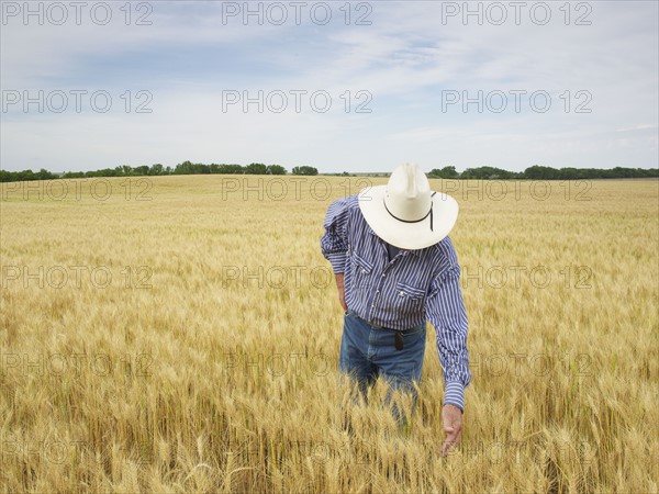 Farmer standing in wheat field. Photo. John Kelly