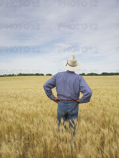 Farmer standing in wheat field. Photo : John Kelly