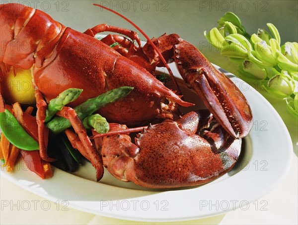 Lobster dish on dining room table