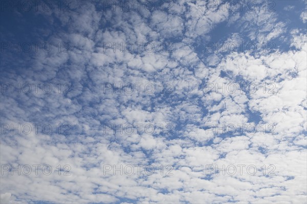 Clouds and blue sky. Photo : Chris Hackett