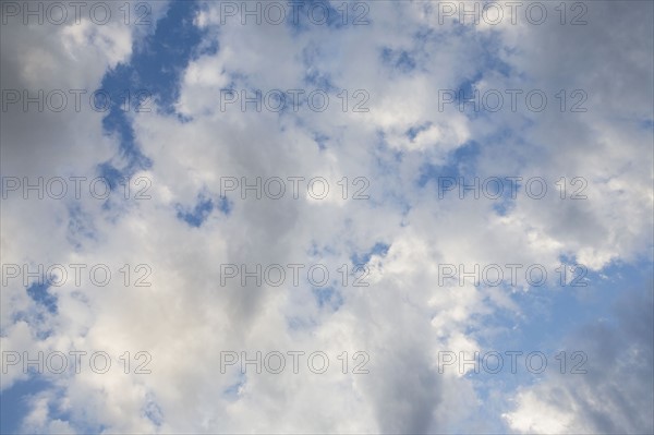 Clouds and blue sky. Photo : Chris Hackett