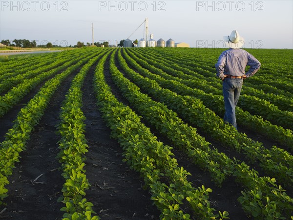 Farmer examining his crop. Photo : John Kelly