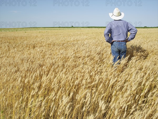 Farmer standing in wheat field. Photo : John Kelly