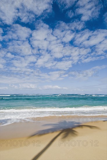 Caribbean beach. Photo : Antonio M. Rosario