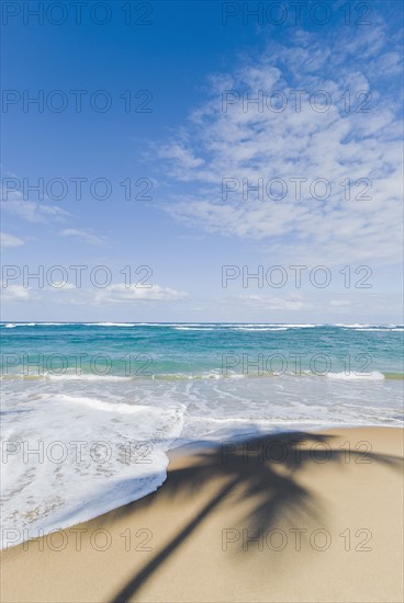 Caribbean beach. Photo : Antonio M. Rosario