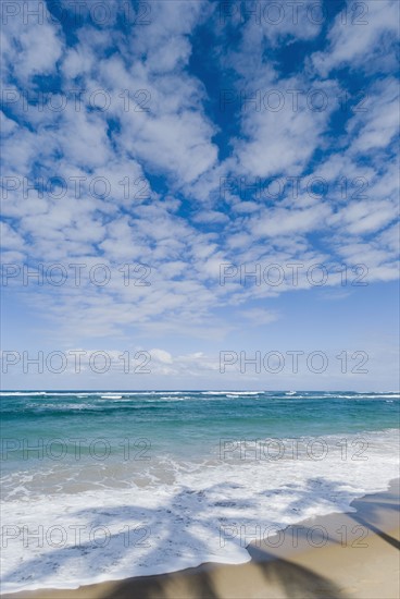 Caribbean beach. Photo. Antonio M. Rosario