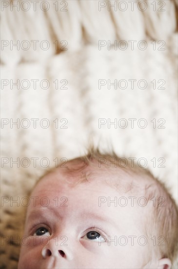 Baby's head. Photo : Jamie Grill