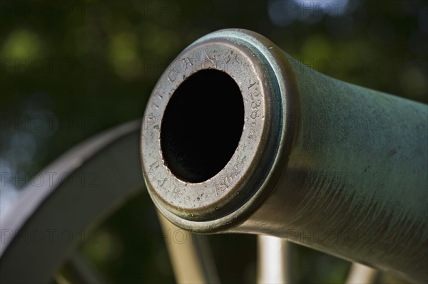 Cannon. Photo. Daniel Grill