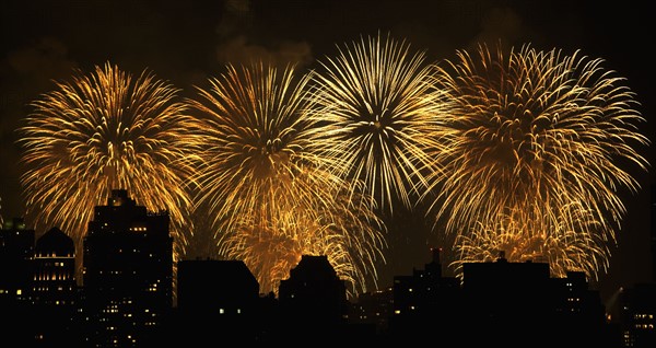 Fireworks over New York City skyline. Photo : fotog